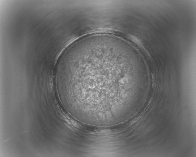 X0000056001260200509162308