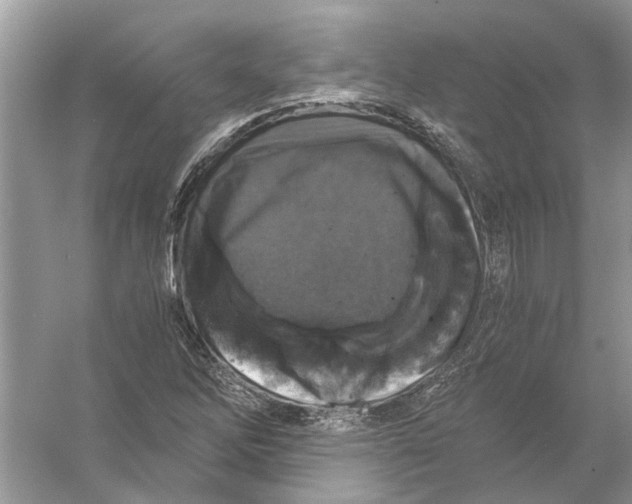 X0000056001262200509162308