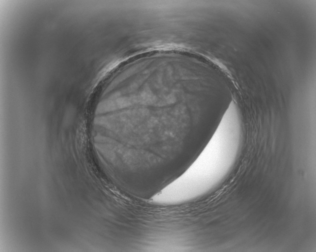 X0000056001263200509162308