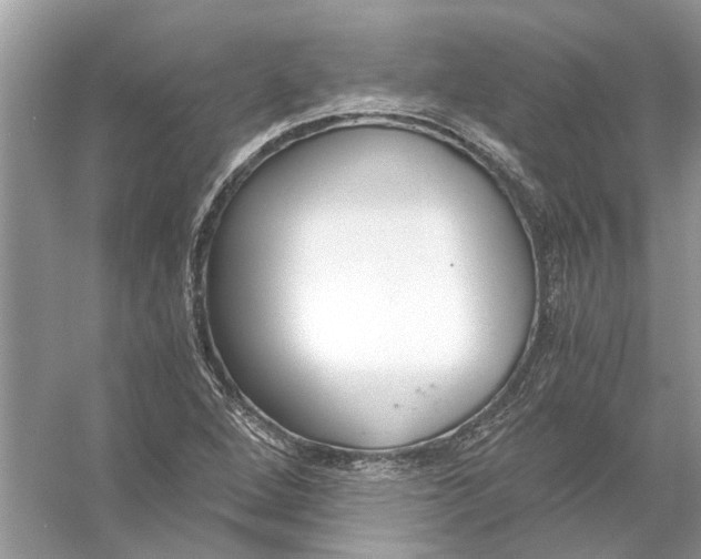 X0000056001264200509162308