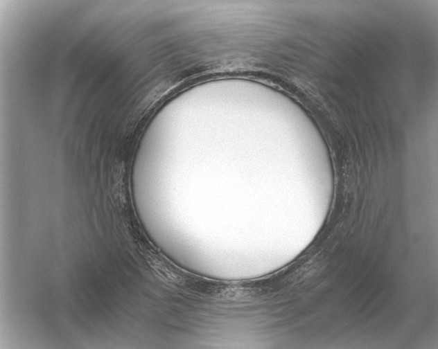 X0000056001265200509162308