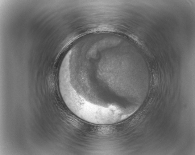 X0000056001266200509162308