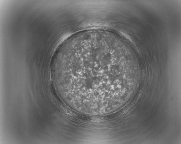 X0000056001267200509162308