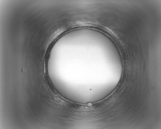 X0000056001269200509162308