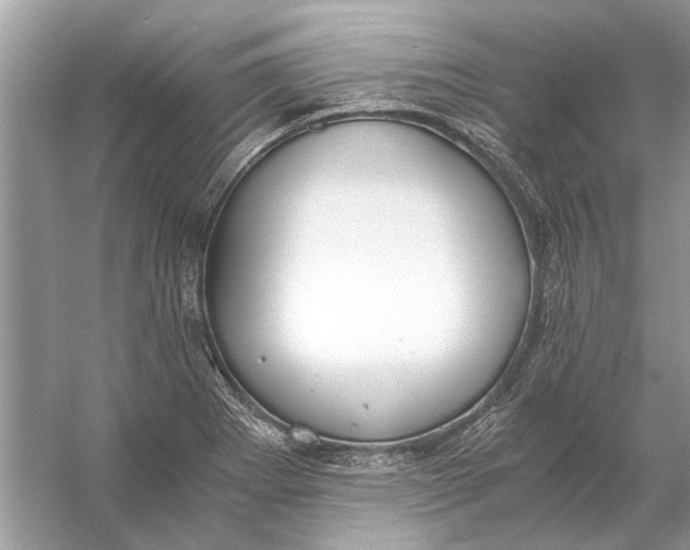 X0000056001273200509162308