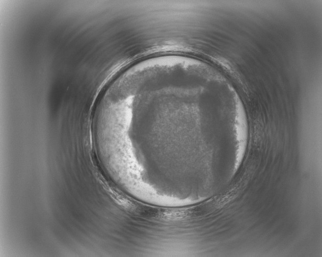 X0000056001274200509162308