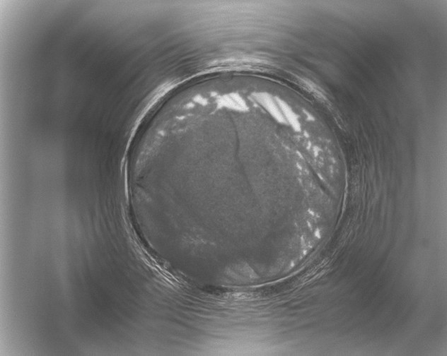 X0000056001275200509162308