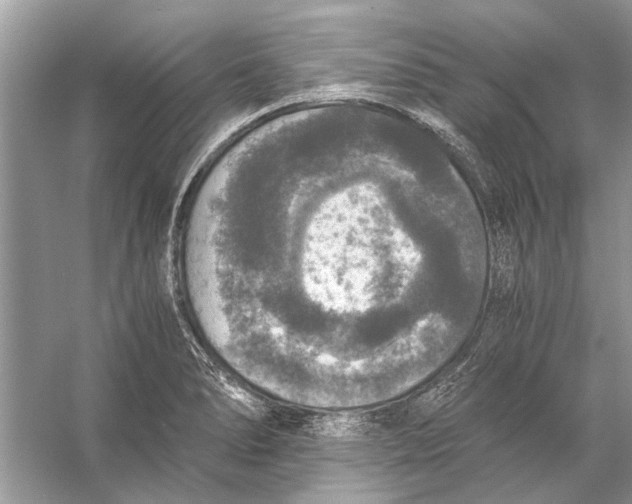 X0000056001278200509162308