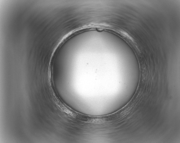 X0000056001280200509162308