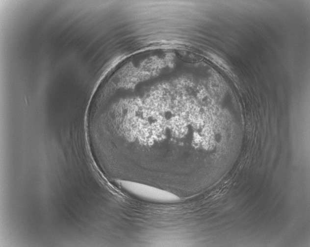 X0000056001283200509162308