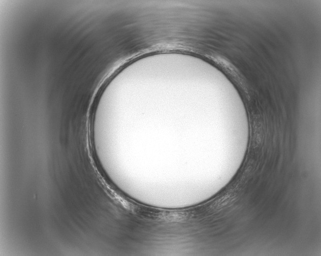 X0000056001286200509162308