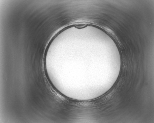 X0000056001288200509162308