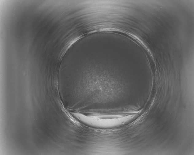 X0000056001289200509162308