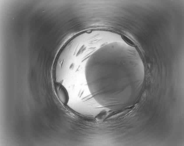 X0000056001291200509162308