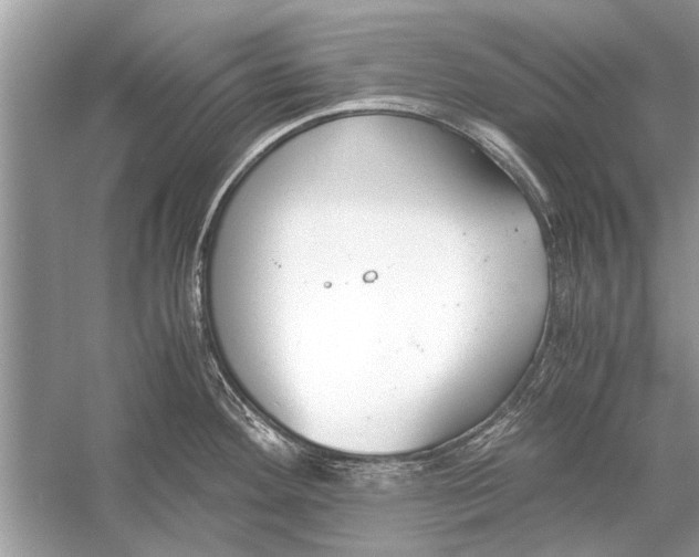 X0000056001292200509162308