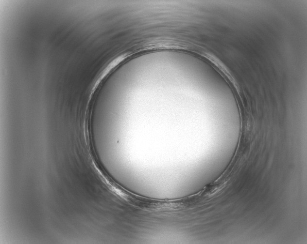 X0000056001293200509162308