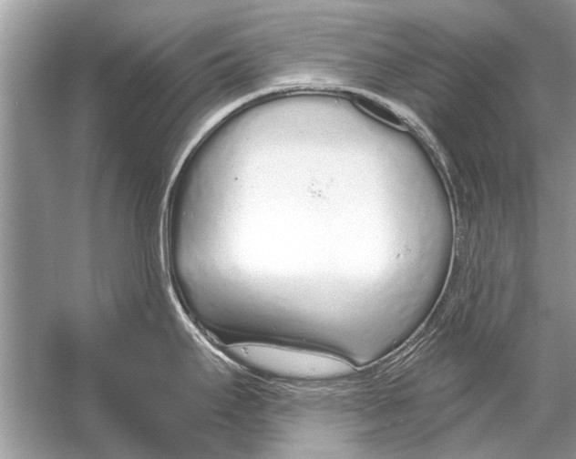 X0000056001295200509162308