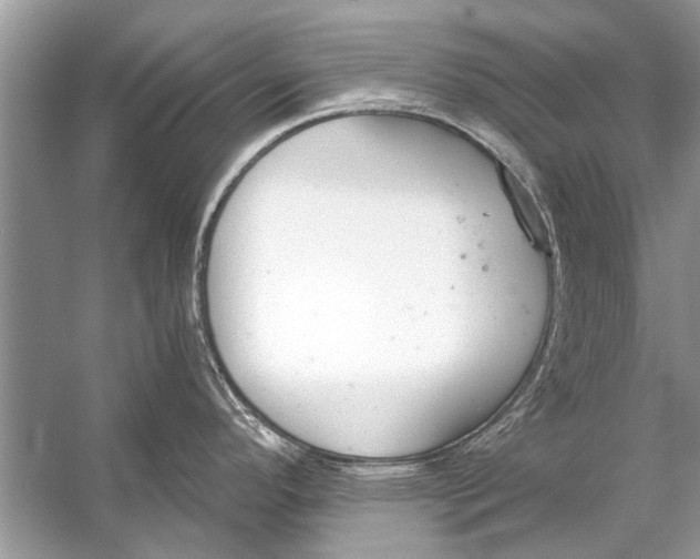 X0000056001296200509162308