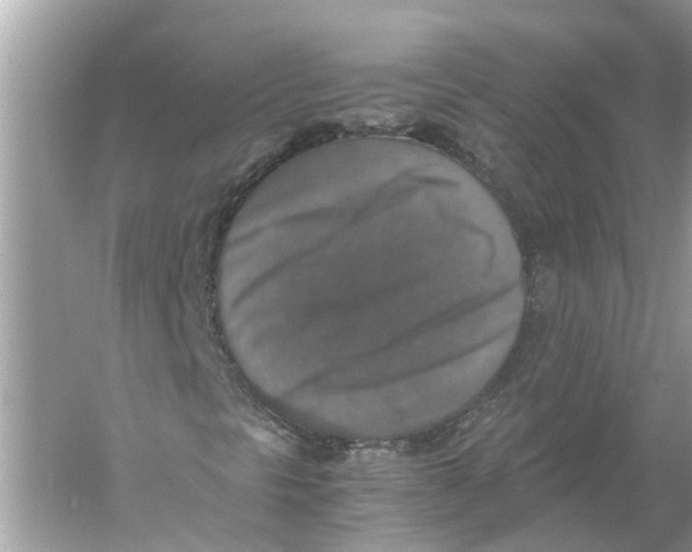 X0000056001297200509162307