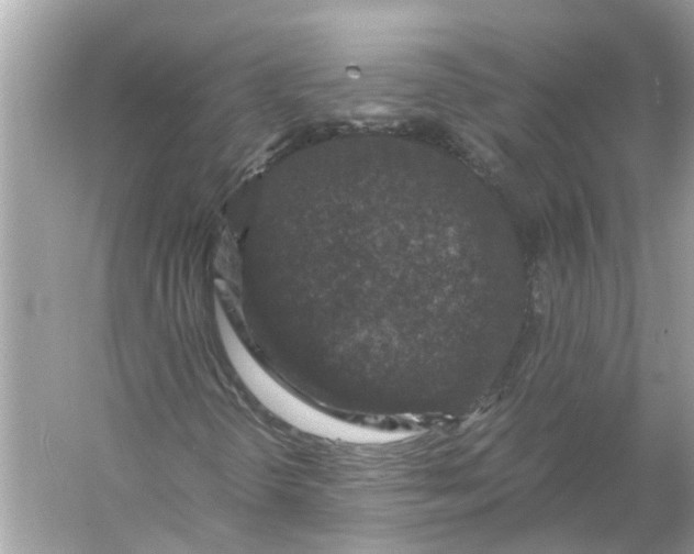 X0000056001298200509162307