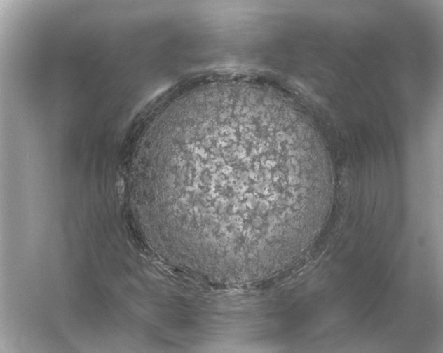 X0000056001302200509162307