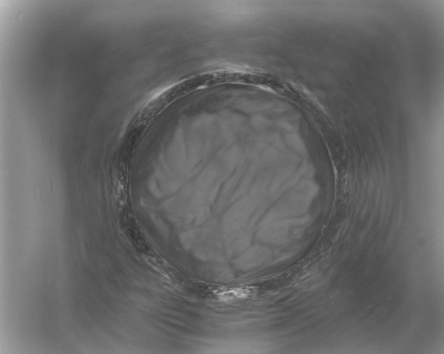 X0000056001303200509162307