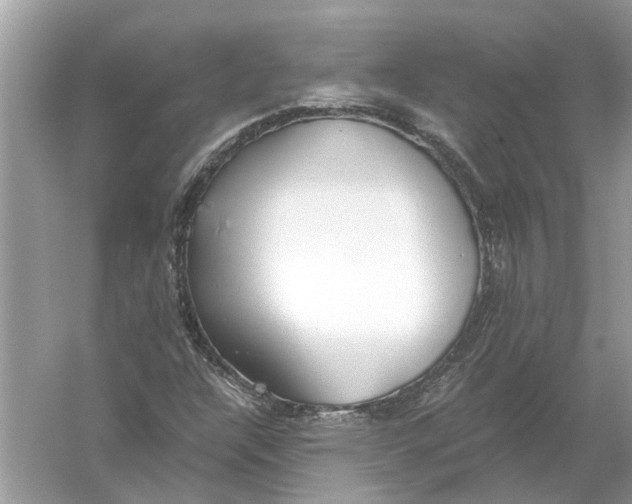 X0000056001304200509162307