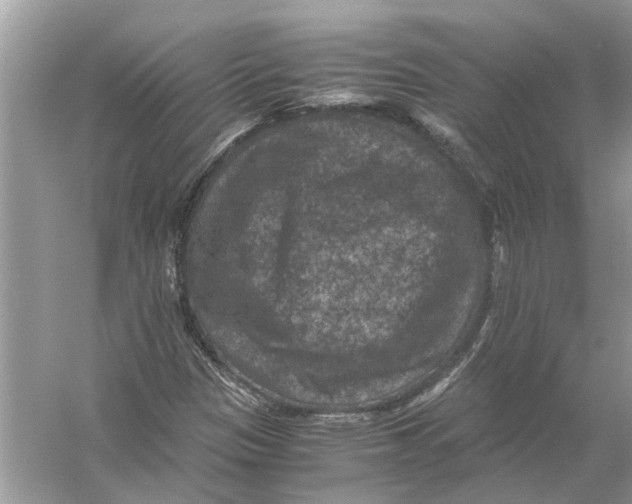 X0000056001305200509162307