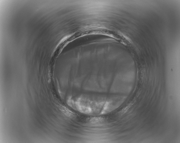 X0000056001306200509162307