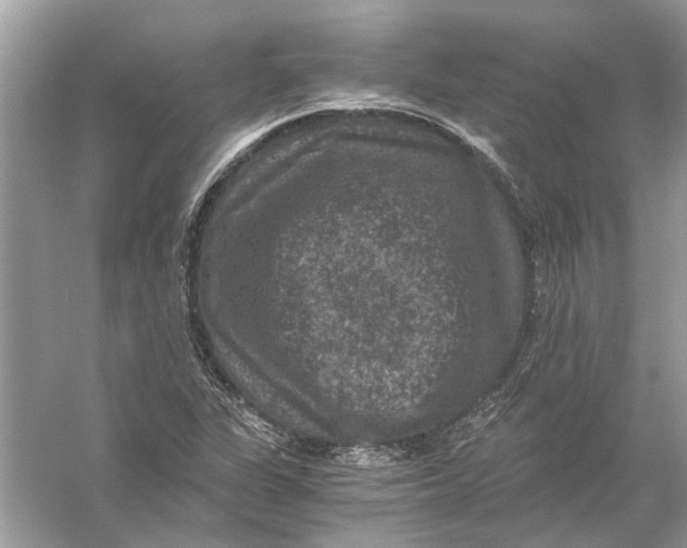 X0000056001311200509162307