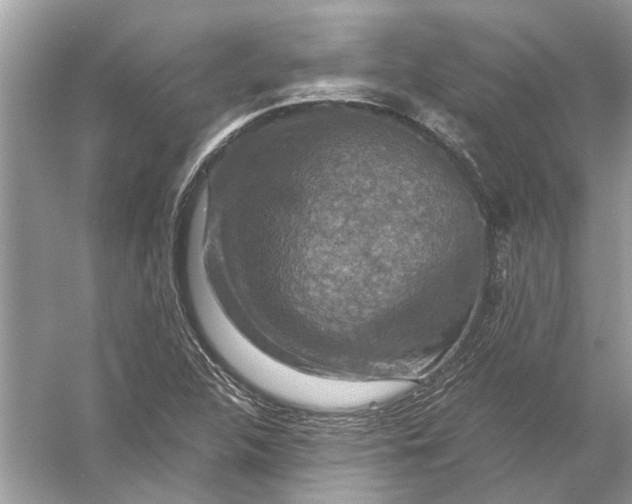 X0000056001312200509162307