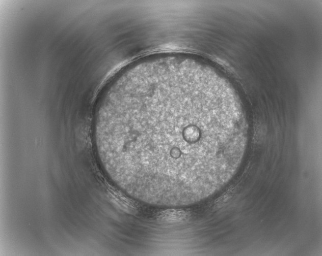 X0000056001314200509162307