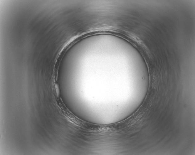 X0000056001316200509162307