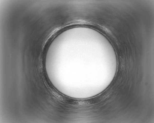 X0000056001318200509162307