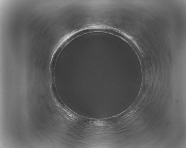 X0000056001319200509162307