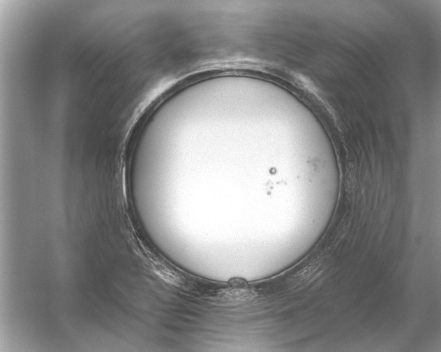 X0000056001320200509162307