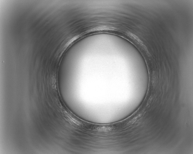 X0000056001321200509162307