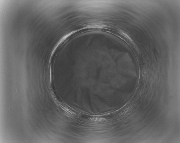 X0000056001323200509162307