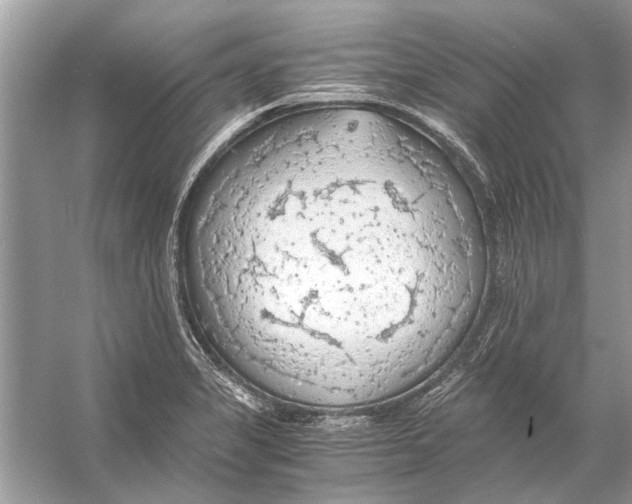 X0000056001325200509162307