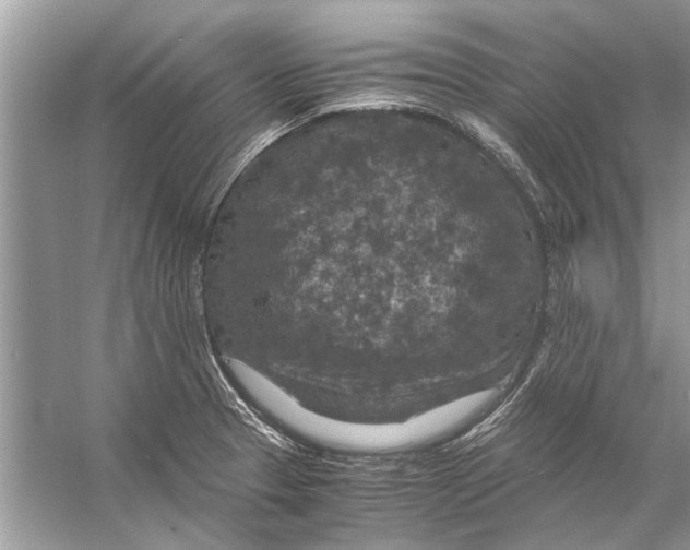 X0000056001329200509162307