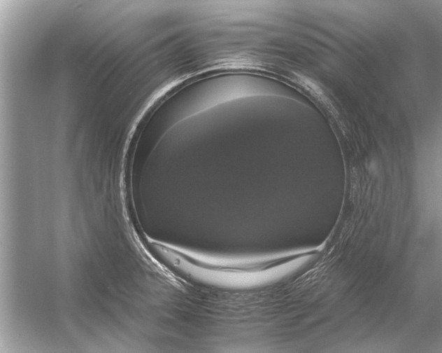 X0000056001331200509162307