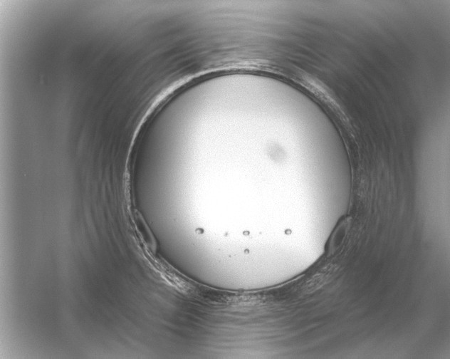 X0000056001332200509162307