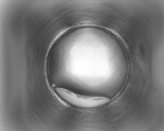 X0000056001333200509162307