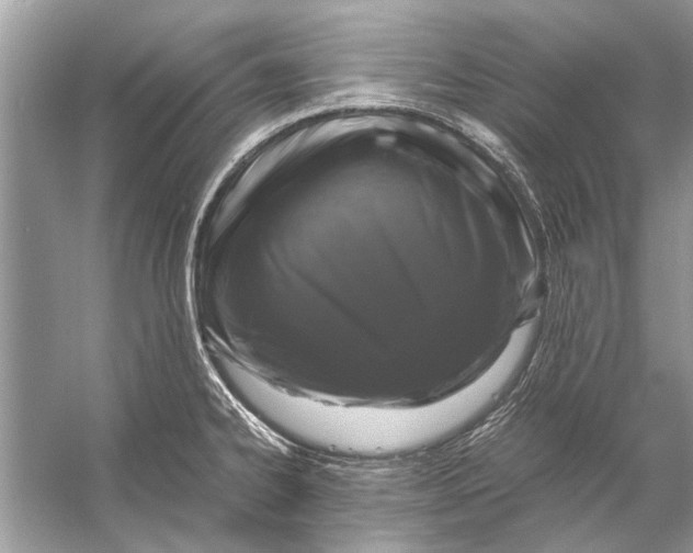 X0000056001334200509162308