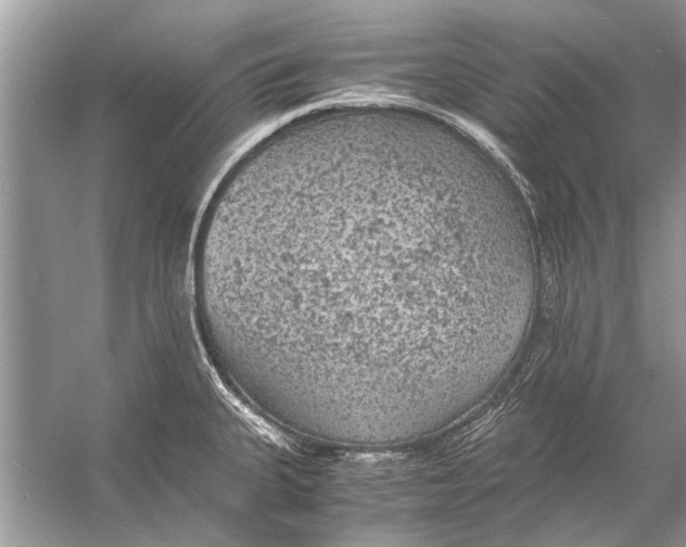 X0000056001335200509162308