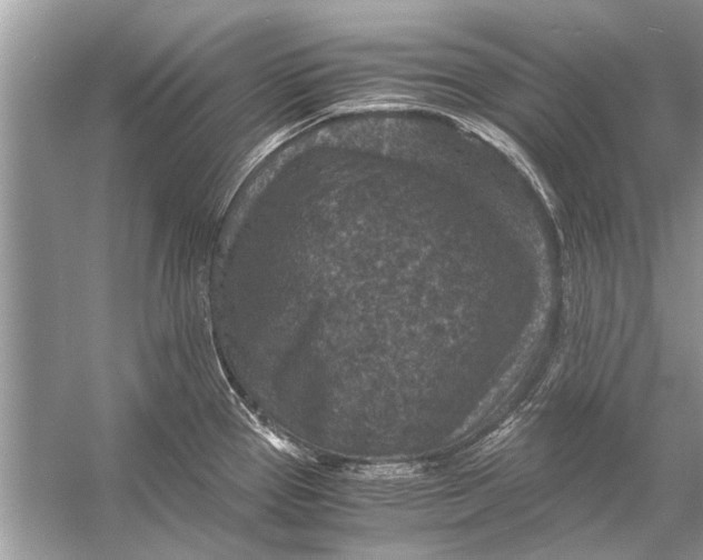 X0000056001337200509162308