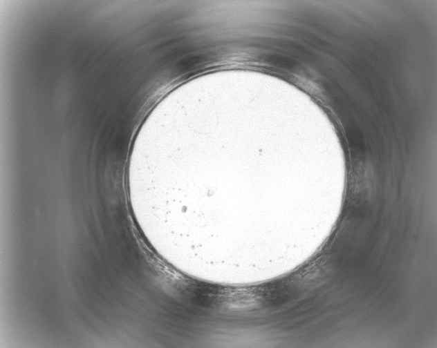 X0000056001338200509162308