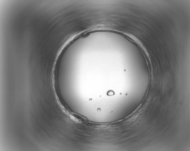 X0000056001341200509162308