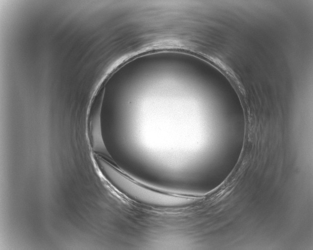 X0000056001342200509162308