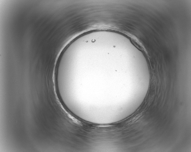 X0000056001343200509162308